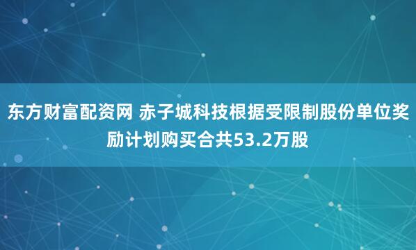 东方财富配资网 赤子城科技根据受限制股份单位奖励计划购买合共53.2万股